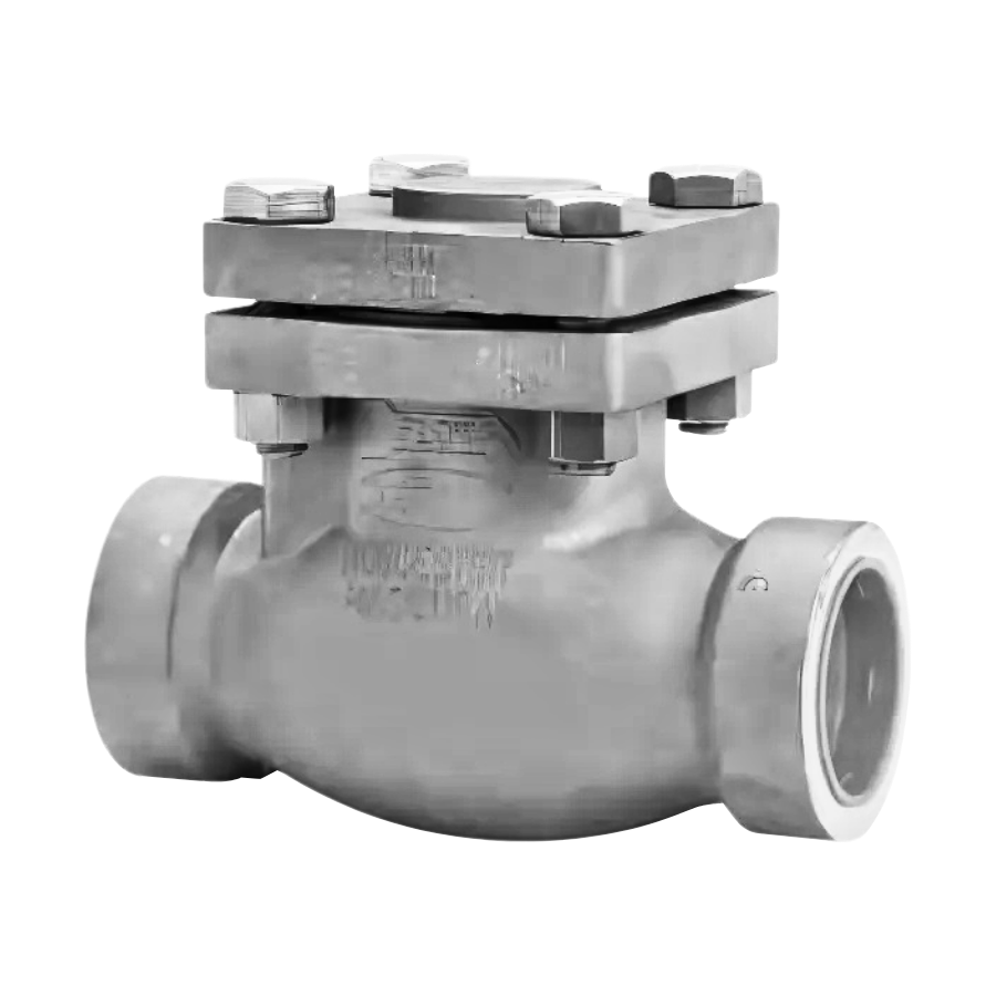 Stainless Steel 886 / 886M Swing Check Valves