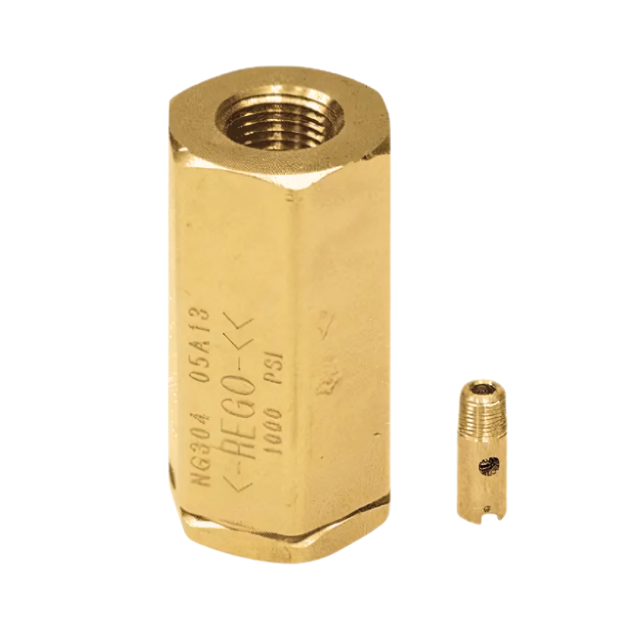 LNG Check Valves NG Series