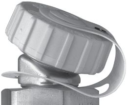 Cap & Strap - AFV Series Double Back Check Valve 