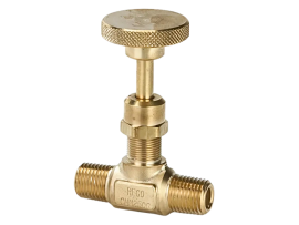 1/4" Globe MNPT