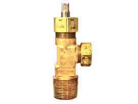 Sherwood 1"-11.5 NGT-CL Ton Container Valve