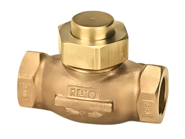 Check Valve 1" F.NPT