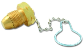 Plug & Chain - 2 Piece Assembly