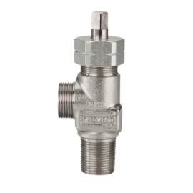 303 SS vlv; CGA 240/705; 3/4"-14NGT; 1/4"inlet tap;no PRD;PTFE